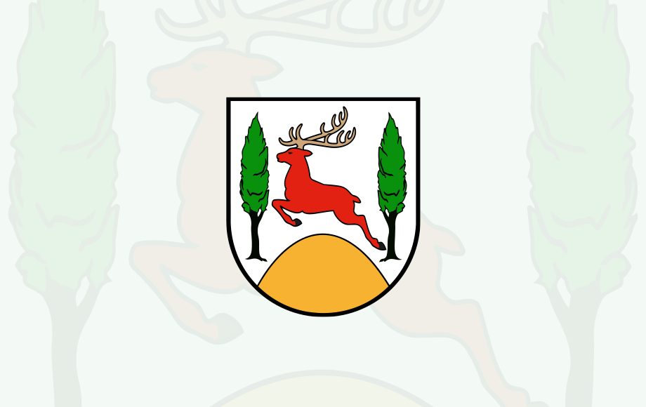 Sprzedaż działki w Bodzewie przez Gminę Piaski