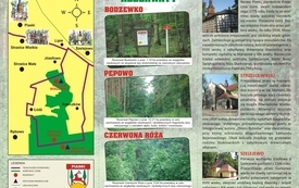 Galeria Podstrony Trasa dla miłosnik&oacute;w przyrody 12