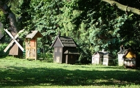 Galeria Podstrony Muzeum w Grabonogu 3