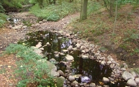 Galeria Podstrony Szwajcaria godurowska 3