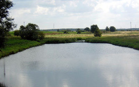 Galeria Podstrony Bodzewo 8
