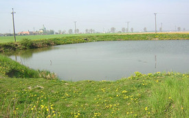 Galeria Podstrony Drzeczewo 1