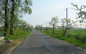 Galeria Podstrony Drzeczewo 7