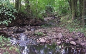 Galeria Podstrony Godurowo 2