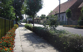 Galeria Podstrony Michałowo i Drogoszewo 1