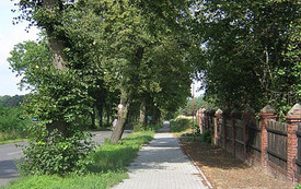 Galeria Podstrony Strzelce Wielkie 2