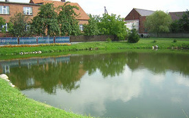 Galeria Podstrony Strzelce Wielkie 3