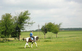 Galeria Podstrony Szelejewo 4